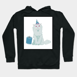 Birthday Cake Cat Hoodie